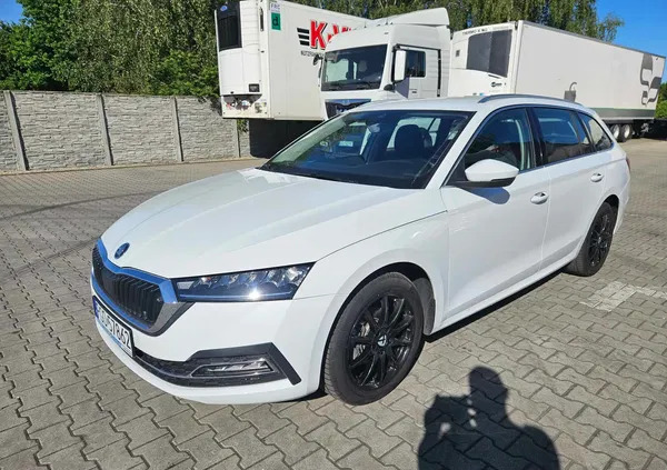 skoda toszek Skoda Octavia cena 76500 przebieg: 121000, rok produkcji 2020 z Toszek